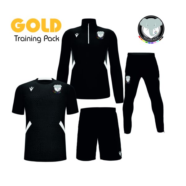 Inclusion Plus FC Gold Training Pack (Jnr Sizes) Thumbnail