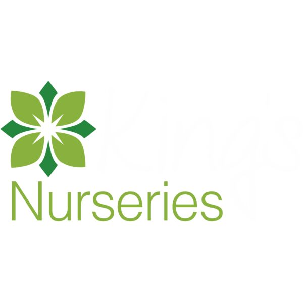 kings nureseries dtf Thumbnail