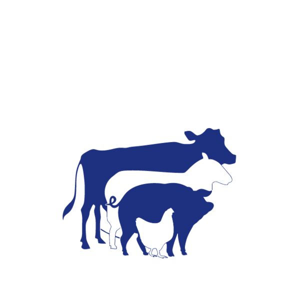 POWELLS FARM DTF Thumbnail